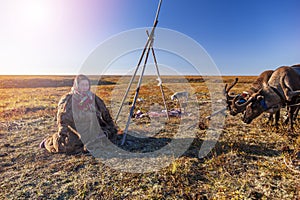The extreme north, Yamal, life of Nenets people, reindeer herder`s assistant, woman sitting on the ground waiting