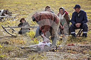 The extreme north, Yamal, the past of the Nenets people, the men cuts the meat of the reindeer