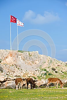 Extreme point of Northern Cyprus