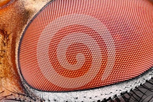 Extreme sharp and detailed fly compound eye surface at extreme magnification taken with microscope objective