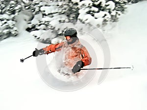 Extreme Skier