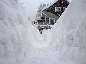 Extrémna snehová kalamita