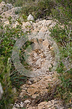 Extreme stony hiking trail through the forest in Mallorca