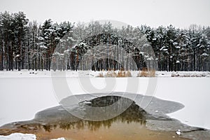 Extreme swimming in an ice-hole in forest. Winter swimming.