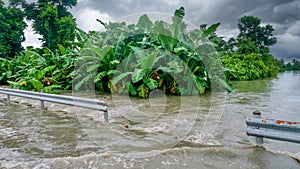 Extreme weather causing agricultural flooding in the Philippines.