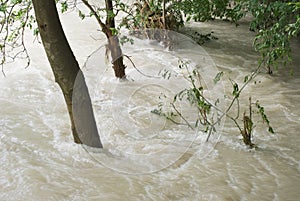 Extreme Weather and Flooding