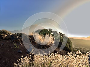 Extreme weather phenomenon in the Teide National Park, with a view of the Teide by Calima