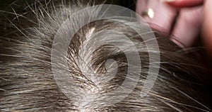 extremely close-up, detailed. parting hair with a comb