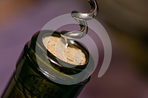 Extremely close up view of bottleneck of wine bottle and bottle-screw swirling cork. Wine bottle