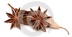 Extremely closeup view of anise star, Star anise spice fruits an.