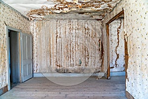 Extremely damaged wallpaper and drywall, likely from water damage at an abandoned home in the Bannack ghost town of Montana