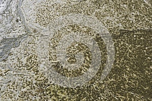 Extremely polluted waters. Environmental water polution concept