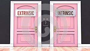 Extrinsic or Intrinsic - making a choice