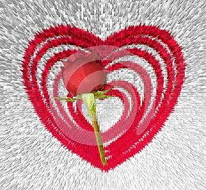 Extruded heart background with red rose