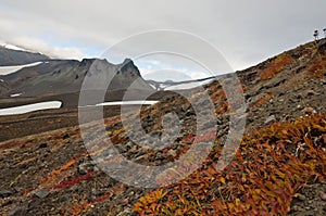 Extrusive rock called Camel located on Avachinsky Pass photo