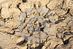 exture of dry and dehydrated ground surface with cracks.