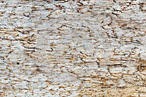 Exture of white marble slabs with brown spots, detailed structure of stone in natural patterned for background and design