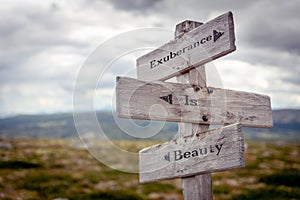 exuberance is beauty text engraved on old wooden signpost outdoors in nature photo