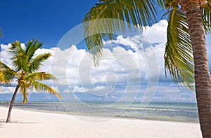 Ey West Florida, beautiful summer beach landscape