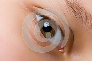 Eye