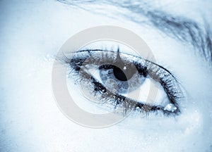 Eye