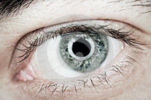 Eye