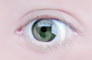 Eye