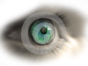 Eye