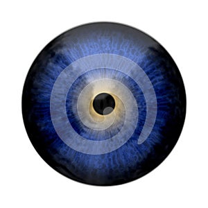 Eye, abstract digitally generated illustration