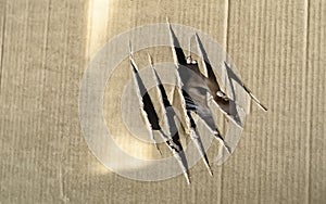 The eye of the beast, looking out of the box through a clawed hole