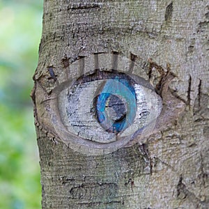 Eye carved in tree trunk.