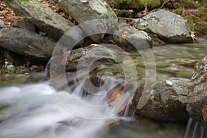 An eye-catching and refreshing forest stream