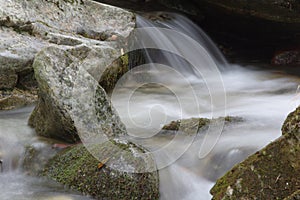 An eye-catching and refreshing forest stream