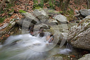 An eye-catching and refreshing forest stream