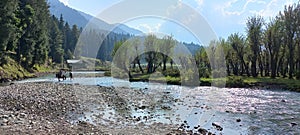 Eye catching view of the beautiful Betaab Valley in Pahalgam, Kashmir