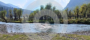 Eye catching view of the beautiful Betaab Valley in Pahalgam, Kashmir photo