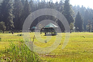 Eye catching view of the beautiful Betaab Valley in Pahalgam, Kashmir photo