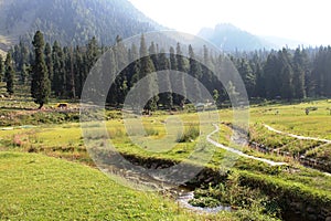 Eye catching view of the beautiful Betaab Valley in Pahalgam, Kashmir photo