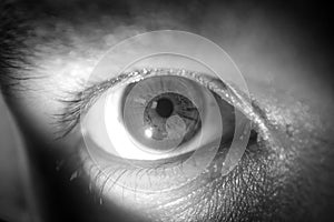 Eye close up macro detail on black and white preset photo