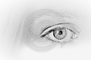 Eye close view. Human eye glance photo background. Emotional look, human face elements