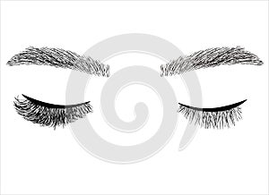 Eyelash extension illustration. Long-lasting styling of the eyebrows. Eyebrow lamination photo