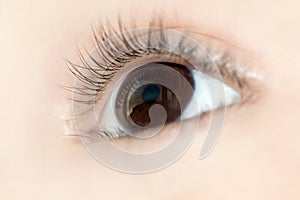 Eye closeup