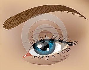 Eye closeup illustration