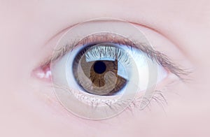 Eye