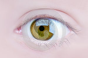Eye
