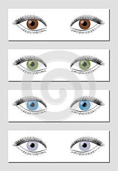 Eye Color Chart Brown Green Blue Gray