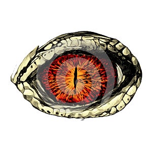 Eye of a crocodile