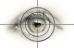 Eye in the cross hairs photo