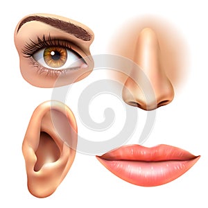 Eye Ear Lips Nose Icons Set