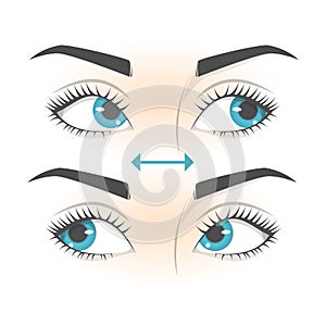 Eye exercise. Movement for eyes relaxation. Eyeball, eyelash